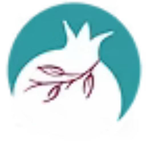 GI Rimon Med logo