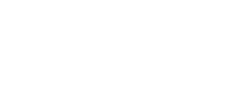 Instituto Bernabeu logo